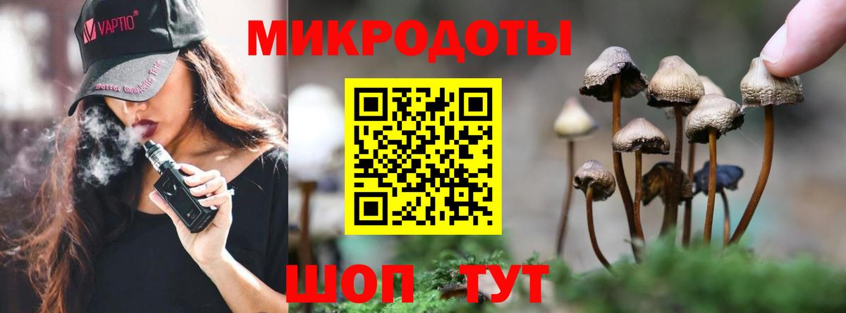 Галлюциногенные грибы MAGIC MUSHROOMS Сочи